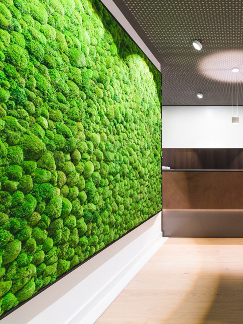 GREEN WALLS