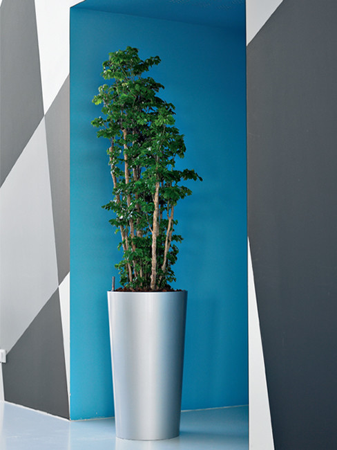 konische Pflanzensäule aus Kunststoff LEVAN