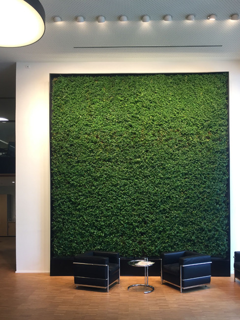 GREEN WALLS