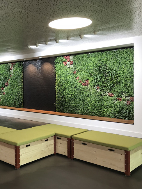 GREEN WALLS